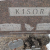 Wesley Kisor