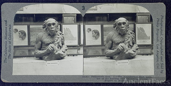 Prehistoric man. 3.--The Neanderthal man, member of the...