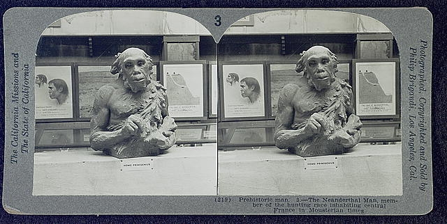 Prehistoric man. 3.--The Neanderthal man, member of the...