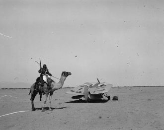 Camel & plane