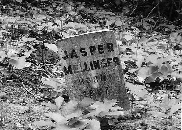 Jasper Mellinger Gravesite