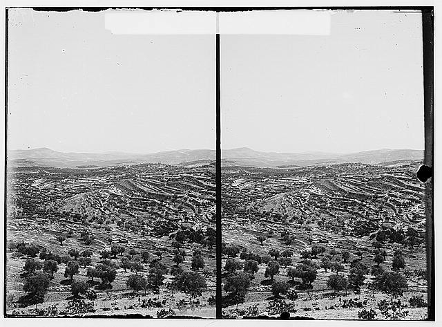 Bethlehem and surroundings. Vineyards and olive groves...
