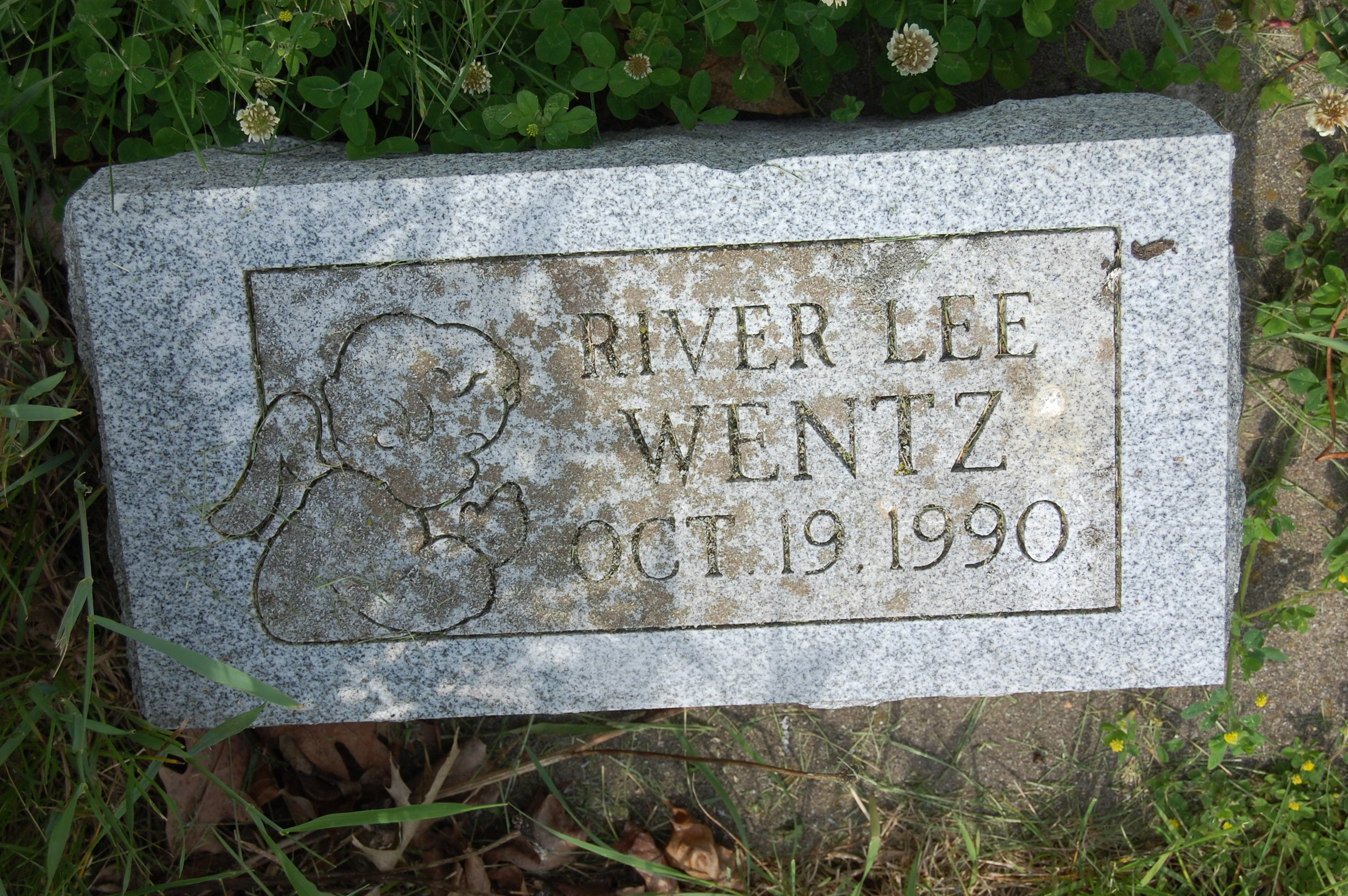 River Lee Wentz
