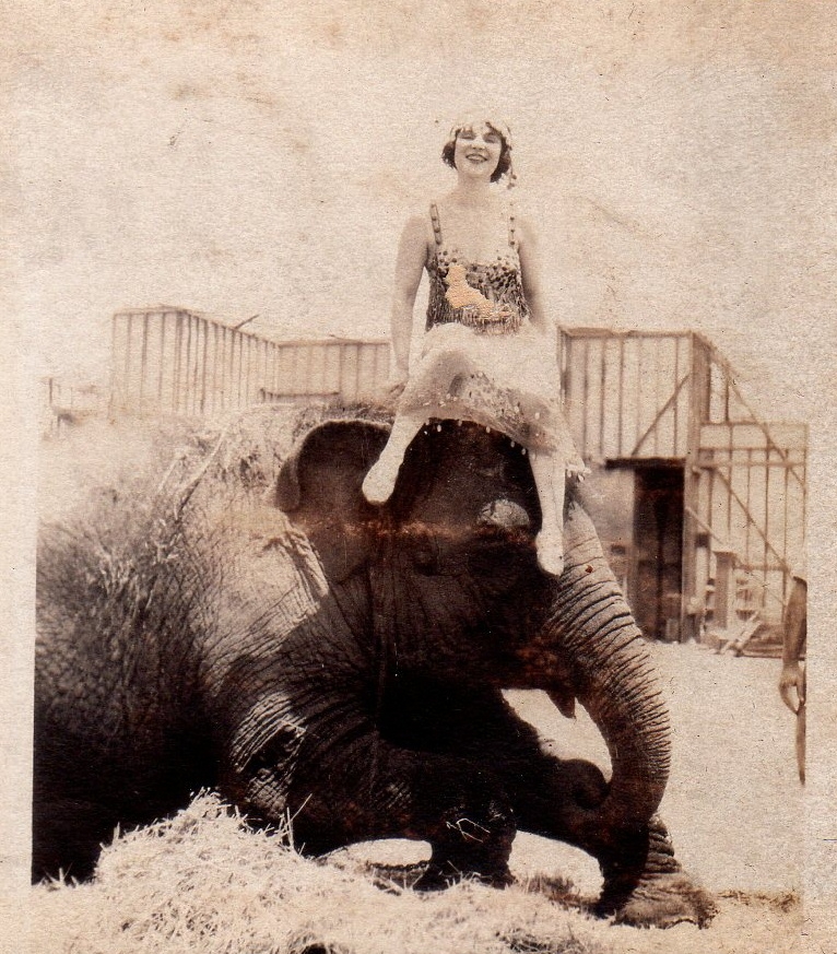 Katherine Charlson & elephant