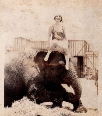 Katherine Charlson & elephant