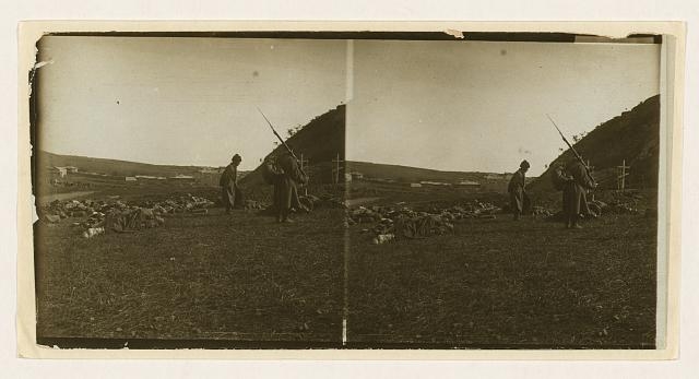[A sentinel over the dead -- guarding comrades who died...