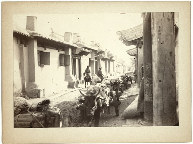 [Cattle pulling carts on a street in an unidentified...