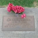 A photo of Joe Charles Aidnik