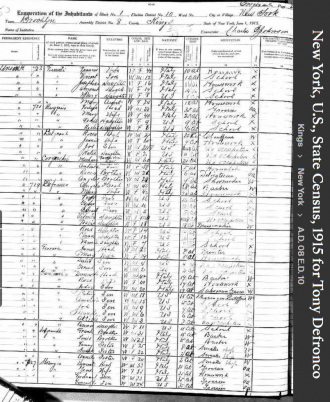 Anthony Frank Defronzo Sr --1915 New York, U.S., State Census