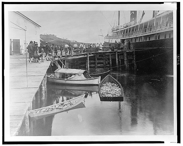 [The expedition vessel, George W. Elder, at dock possibly...
