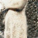 A photo of Flo (Whitkanack) Heleine