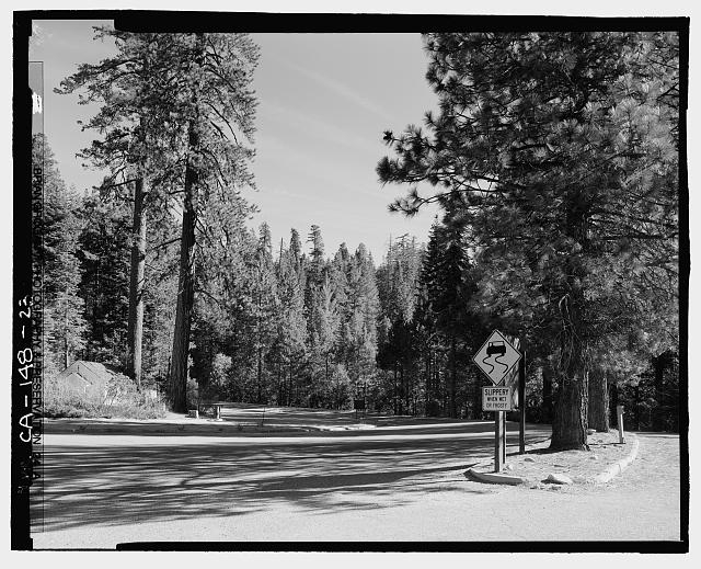 - Wawona Road, Between South Entrance & Yosemite Valley,...