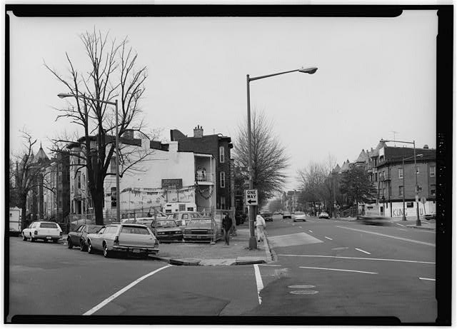 8. RESERVATION NO. 276, LOOKING NORTHEAST - Florida...