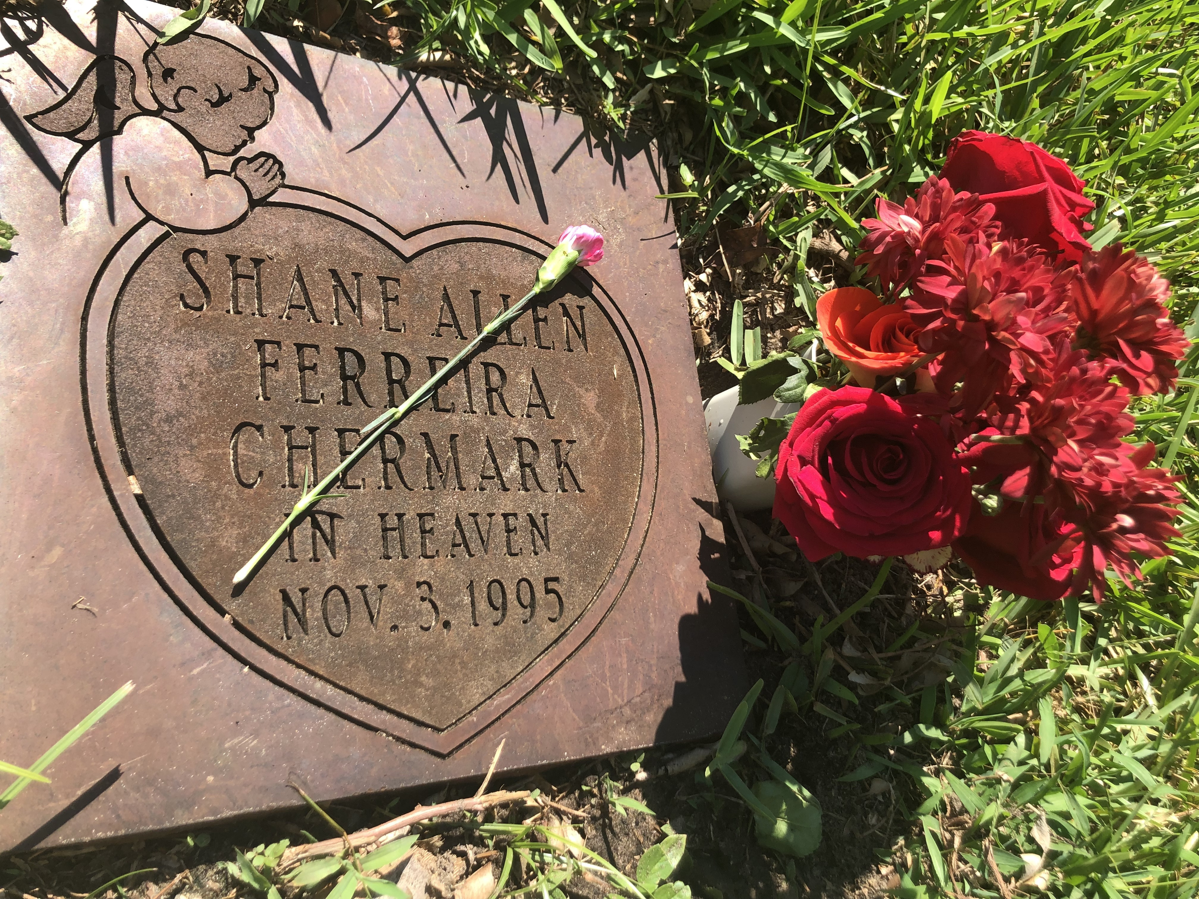 Shane’s forever home 