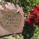A photo of Shane Allen Chermark