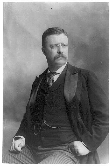 [Theodore Roosevelt, three-quarter length portrait,...