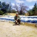 A photo of Dennis S Medwick