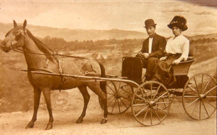 Horse & Buggy