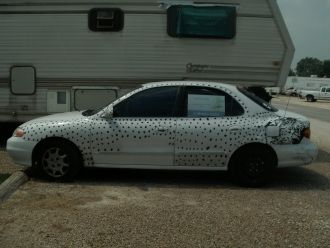 Spots, my car