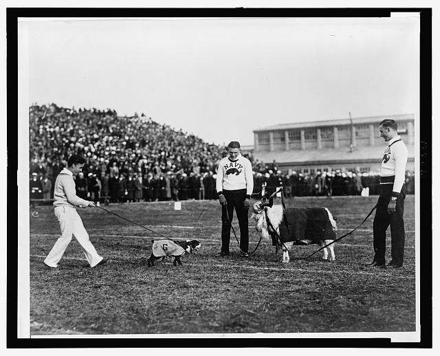 Georgetown--Navy game, G. W. bulldog and Navy goat