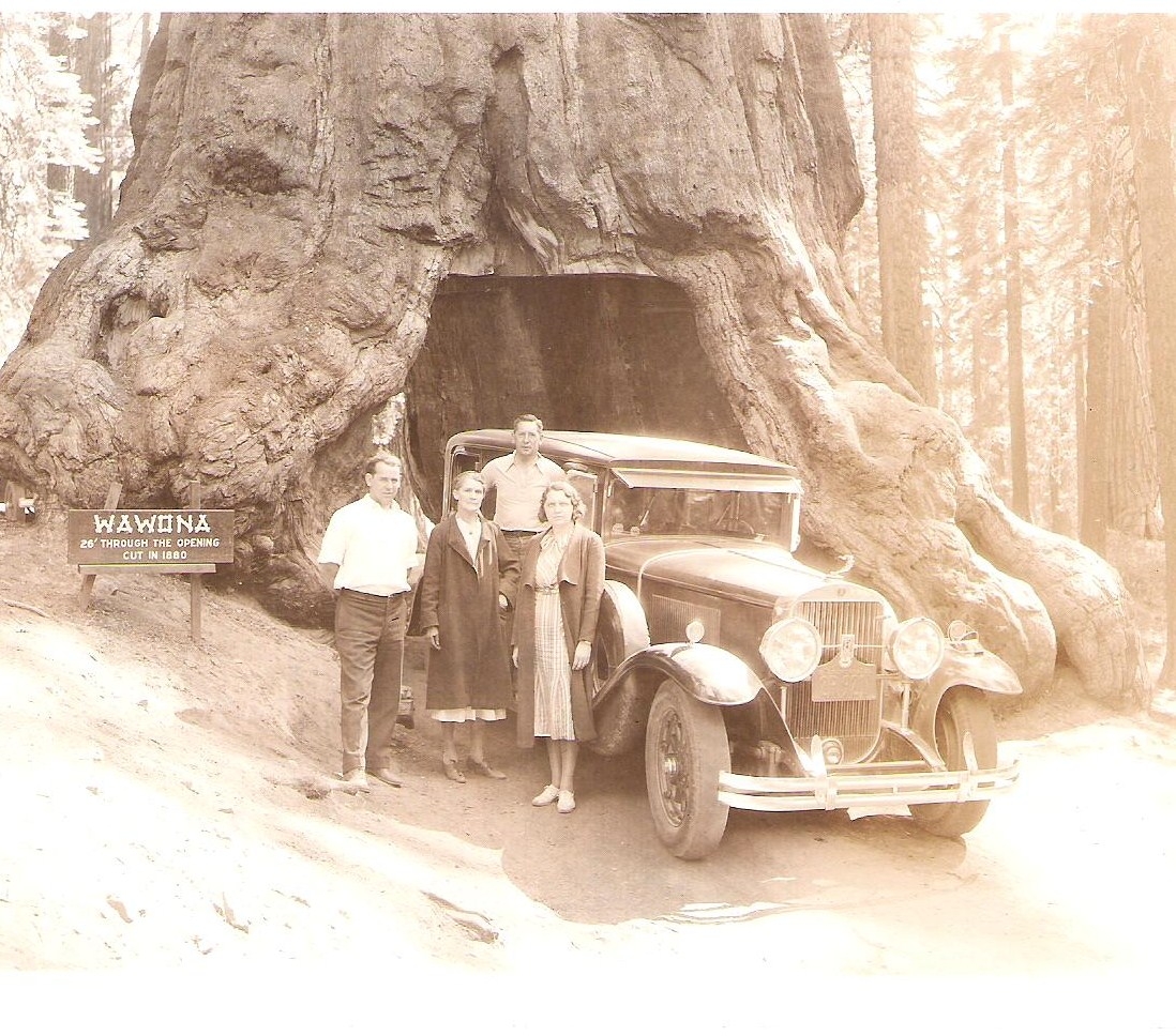 Cazneau's in Yosemite