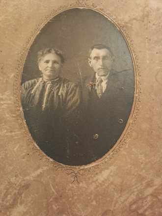 Pipjunge family