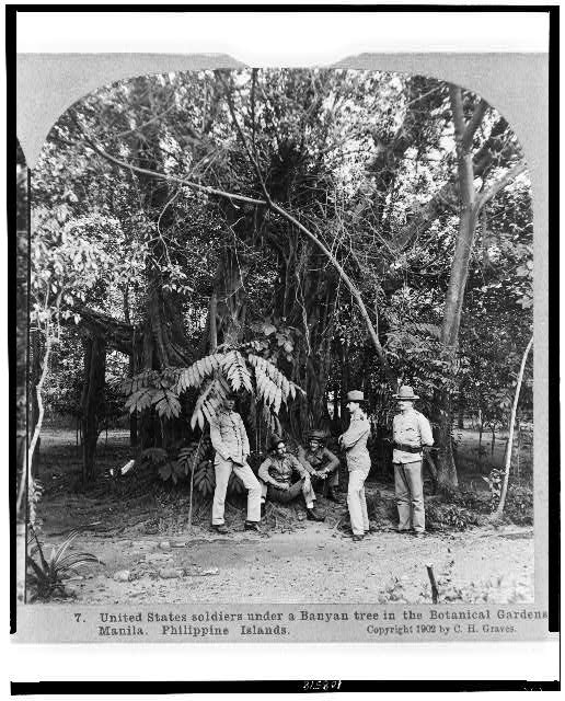 United States soldiers under a Banyan tree in the...