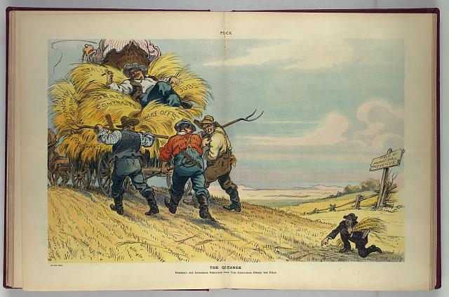 The gleaner