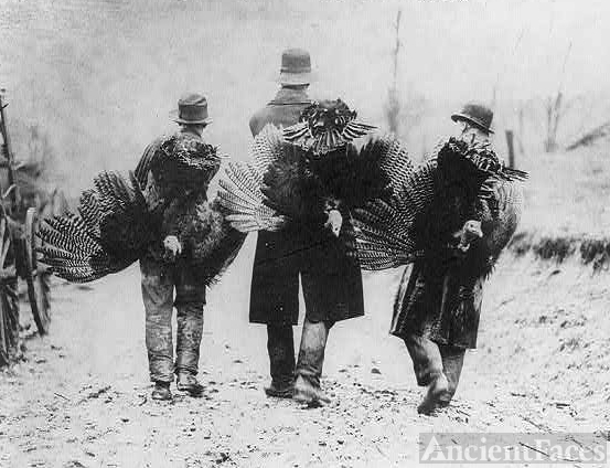 Thanksgiving, 1912