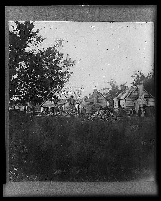 Plantation view at Port Royal Island, S.C.