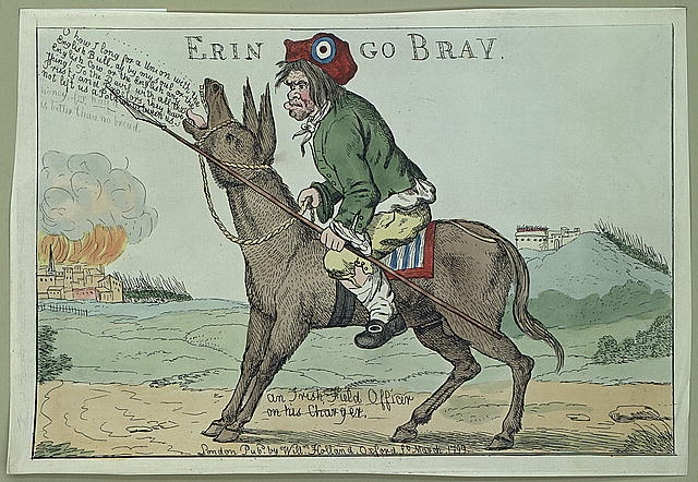 Erin go bray