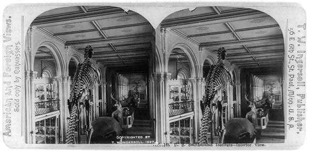 U.S. Smithsonian Institute - interior view