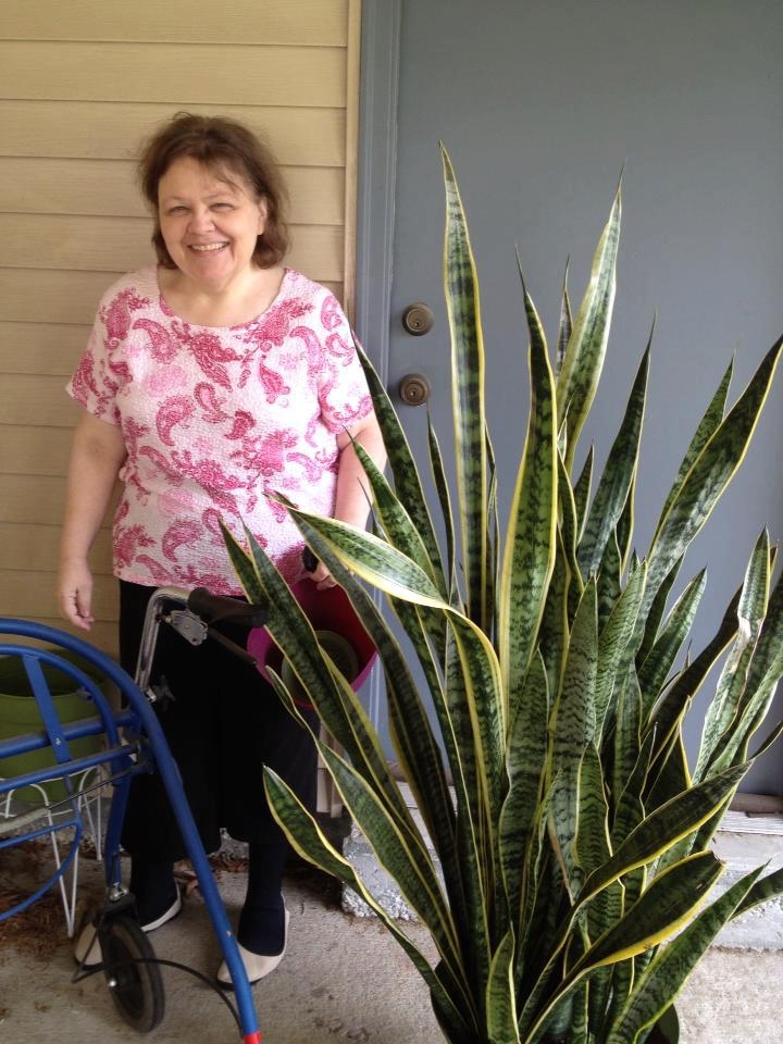 Debra Sue Miller
