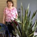 A photo of Debra Sue Miller