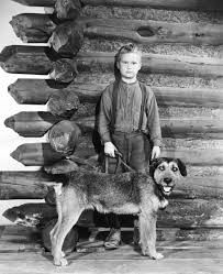 Brandon deWilde