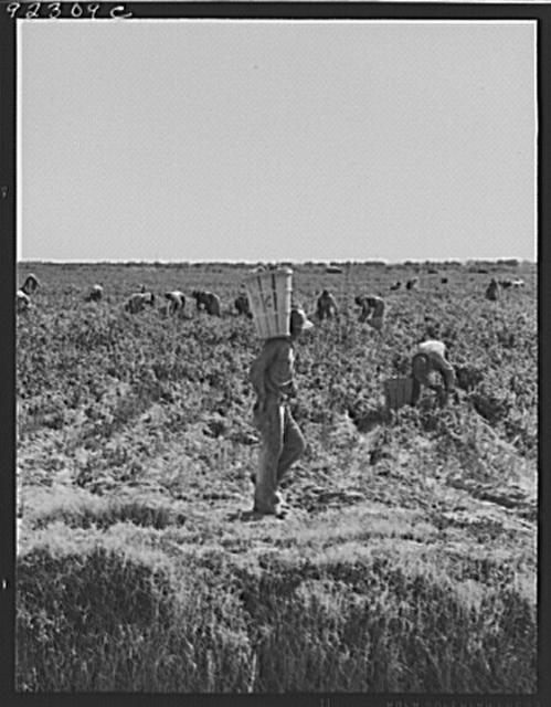 [Untitled]