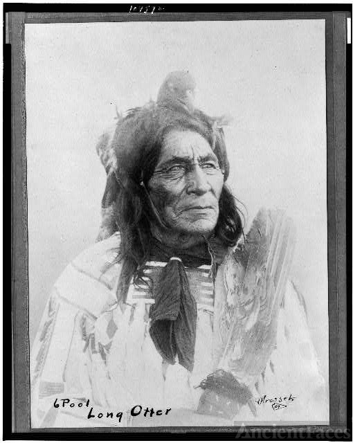 6 Pool Long Otter / Throssel.