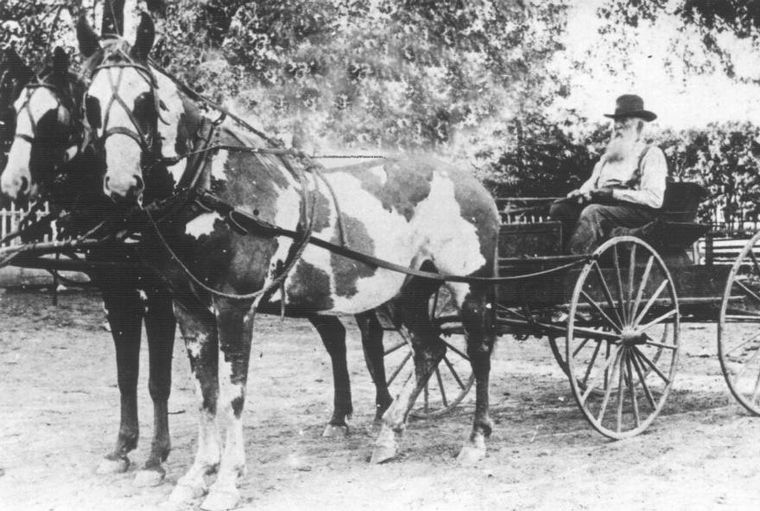 James Henry McCollum with Spotted Ponies
