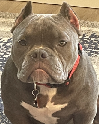 Thor
