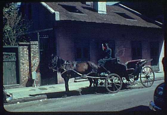 New Orleans views. Horse drawn carriage