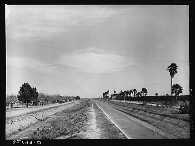 Irrigation ditch. Irrigated land on right, Mexican...