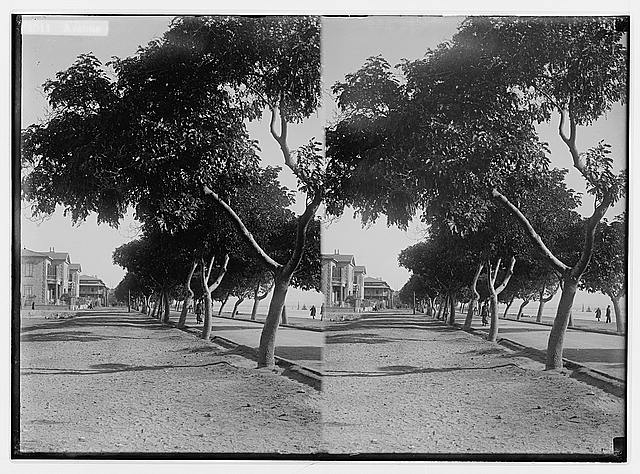 To Sinai via the desert. Avenue along the Suez Canal at...