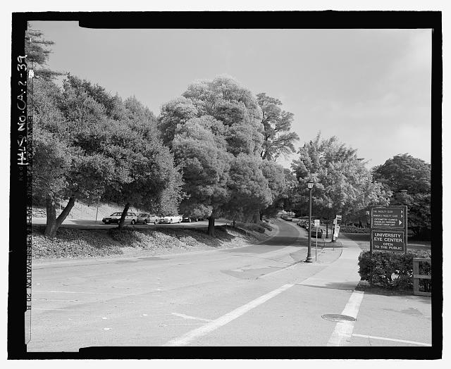 VIEW OF PIEDMONT AVENUE AT ENTRANCE ROAD TO UNIVERSITY OF...