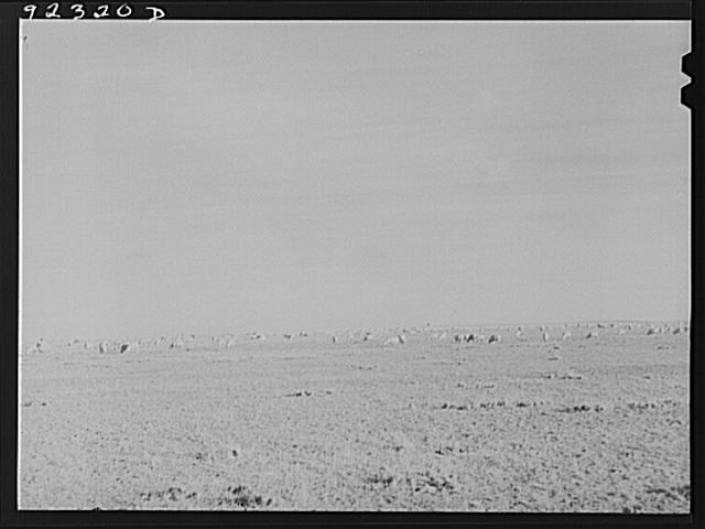 [Untitled]