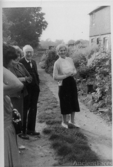 Ellen Alice Gillison