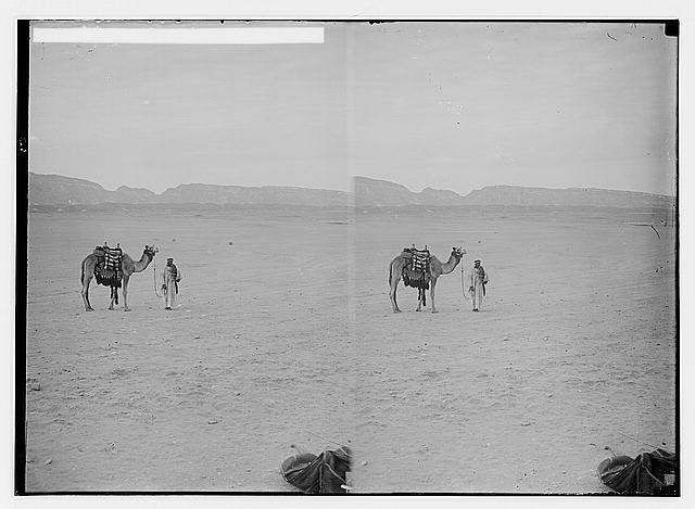 To Sinai via the desert. Dreary desert scene in Sinai...