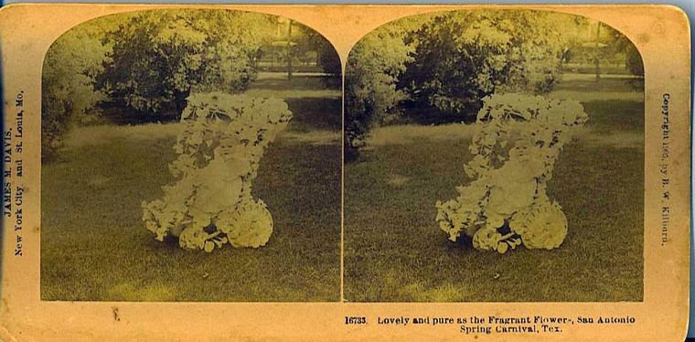 Mystery Baby in a Flower Stroller