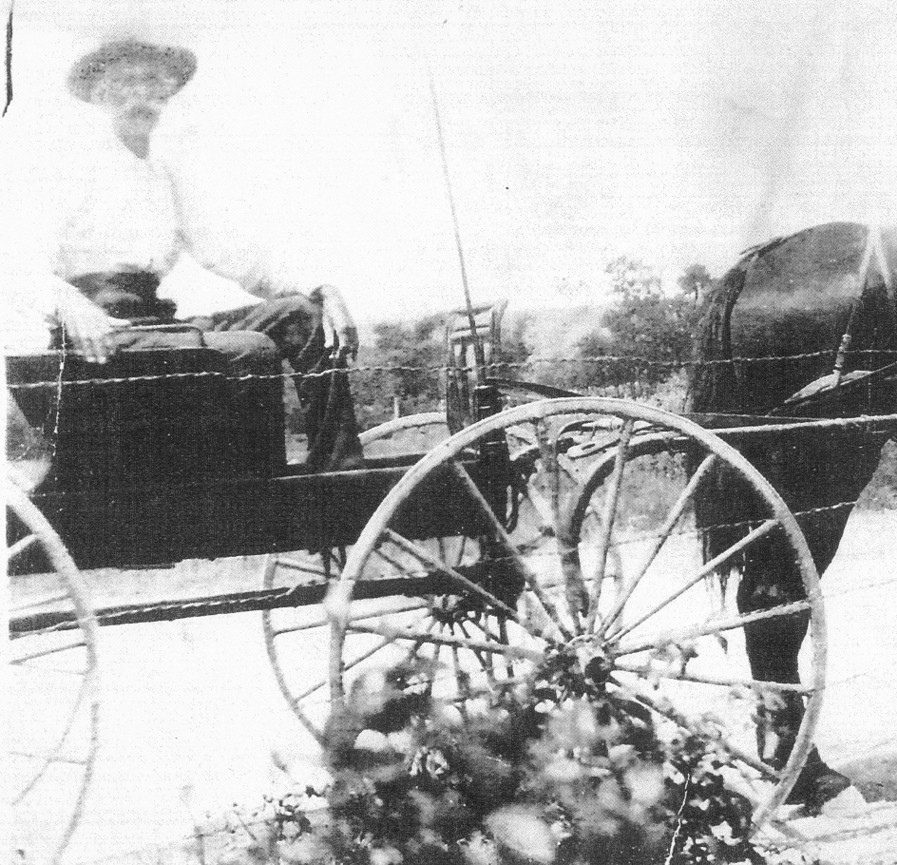 John W. Partee Working Cotton Farm