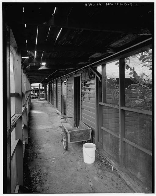 3. VIEW EAST, INTERIOR OF UNNUMBERED SCREEN HEADHOUSE,...