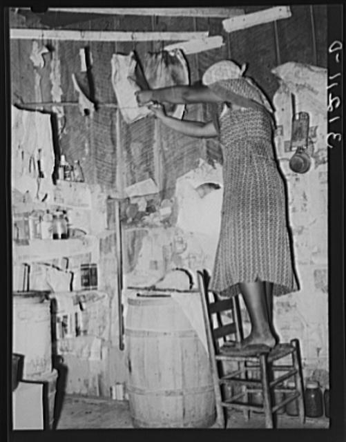 Southeast Missouri Farms. Sharecropper's wife cutting off...